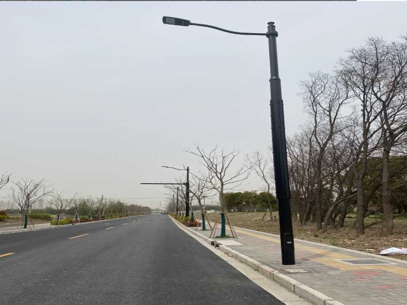 阿巴嘎旗上海综合杆 太阳能路灯工程